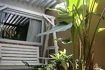 Herberg Homeaway Townhouse 1934 George Town